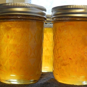 Meyer Lemon and Ginger Marmalade, handcrafted 8 oz jar