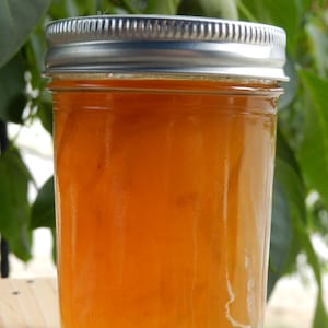 Mirabelle Plum jam, Handcrafted 8 oz jar, Oregon, Pacific Northwest