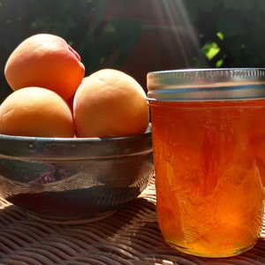 Apricot Jam, Naturally grown, Oregon Pacific Northwest