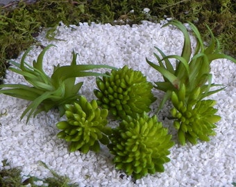 Fairy garden plants, artificial succulents, small plants for miniature fairy garden, mini picket fence