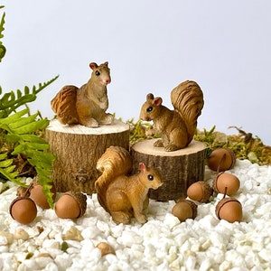 Miniature Squirrels, mini squirrels, Fairy Garden accessories, SET OF 3, small squirrel, fairy garden animals, miniature woodland animals