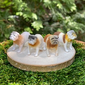 ONE Miniature English Bulldog, miniature bulldog, fairy garden accessory, dollhouse miniatures, miniature dog figurine, craft supply