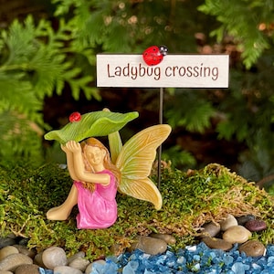 May include: A miniature fairy figurine in a pink dress and yellow wings sits under a green leaf, with a sign that reads "Ladybug crossing". The scene includes a bed of moss, stones, and blue glass, creating a whimsical garden scene.