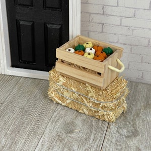 Miniature Crate Pumpkins, Fall Autumn Dollhouse Miniatures, Fairy Garden Accessories, Terrarium Supplies, Diorama, Craft Supply Miniatures