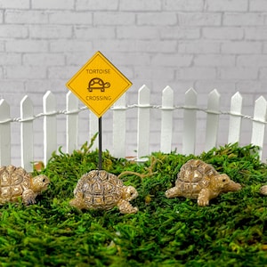 Miniature Tortoise, Fairy Garden Accessory, Miniature Turtle, Fairy Garden Accessories, Miniature Sign, Mini figurine, dollhouse miniature