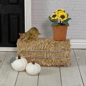 May include: Miniature autumn-themed decor featuring a hay bale, sunflowers in a terracotta pot, two white pumpkins, and a small cat figurine. The scene is set against a white brick wall and a black door.