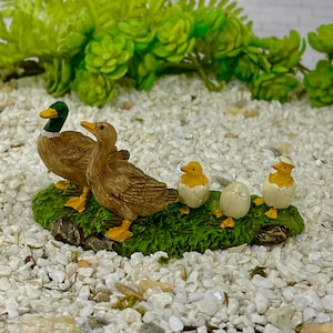 Miniature Duck Ducklings Baby Ducks, Duck Family, Mallard, Easter Farm Barnyard Animals, Figurine Figures, Fairy Garden Diorama Terrarium,