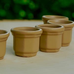 May include: Six small terracotta pots, all the same size and shape, are lined up in a row on a light brown surface. The pots are all empty and have a slightly textured surface.