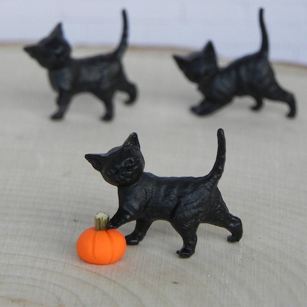 Miniature Black Cats, Halloween miniature, Miniature Kittens, Micro Mini Pumpkin, fairy garden accessories, fairy garden accessory, kitten