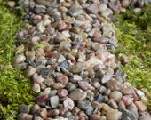 Fairy Garden pebbles stones, pathway rocks, terrarium supply, 8 ounces in weight (approximately 1 2 Cup measure), gravel floral accessories