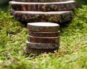 Miniature Stepping Stones, wood slices, set of 5, fairy garden miniatures, fairy garden accessories