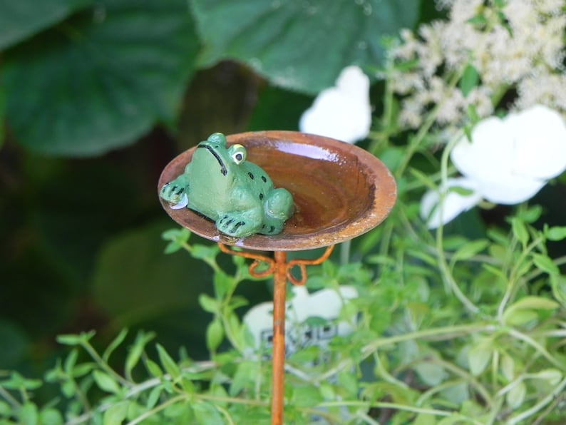 May include: A green frog figurine sits in a small, rusty-brown bird bath. The bird bath is supported by a thin, orange metal stand. The background features green foliage and white flowers, creating a natural garden scene.