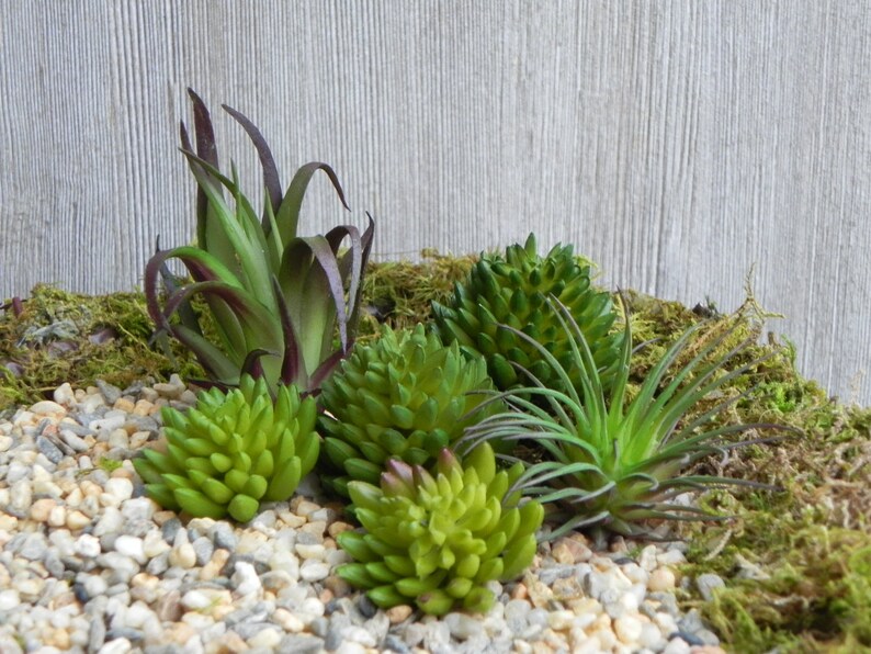 FAIRY NOT INCLUDED Artificial Succulent Plants Set of 6 fairy garden beach terrarium diy small faux fake plants