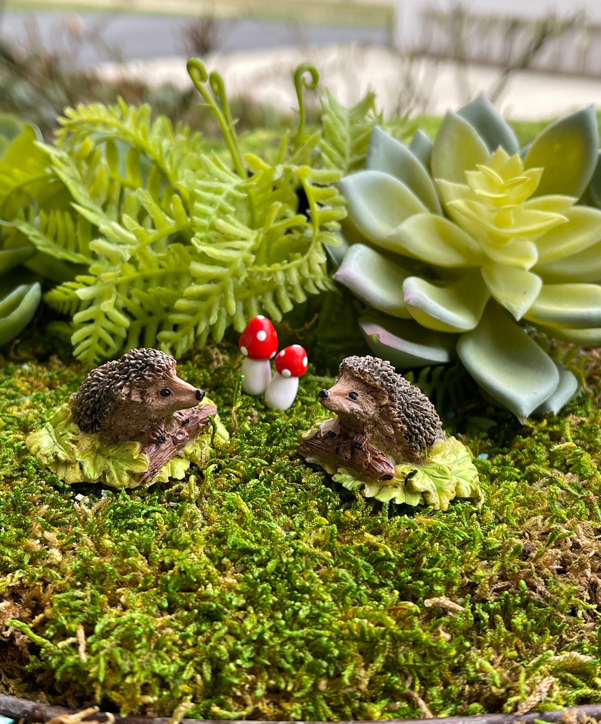 Hedgehog & Mushroom Fairy Garden Decor Set - 6-Piece Mini Figurines For Terrariums, Plant Pots & Cake Toppers - View #11