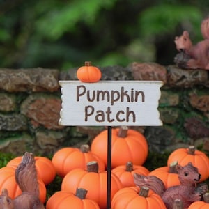 May include: A miniature Pumpkin Patch scene with orange pumpkins, brown squirrels, and a sign that reads "Pumpkin Patch". The scene is set against a stone wall and green foliage, creating a charming autumn display.