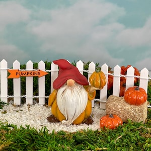 May include: A miniature gnome figurine wearing a red hat and holding a small orange pumpkin. The gnome is standing in front of a white picket fence with a sign that reads "Pumpkins". There are other pumpkins and hay bales in the scene.