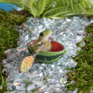 Fairy Garden accessories miniature frog watermelon boat, terrarium supply, miniature frog, miniature row boat image 2