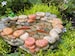 Fairy Garden Koi Pond miniature with artificial water - terrarium accessories - fairy garden accessory - miniature frog - miniature koi fish 