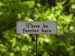 Fairy Garden Sign miniature There be faeries here - fairy garden accessories accessory terrarium supply, handcrafted engraved wooden sign 