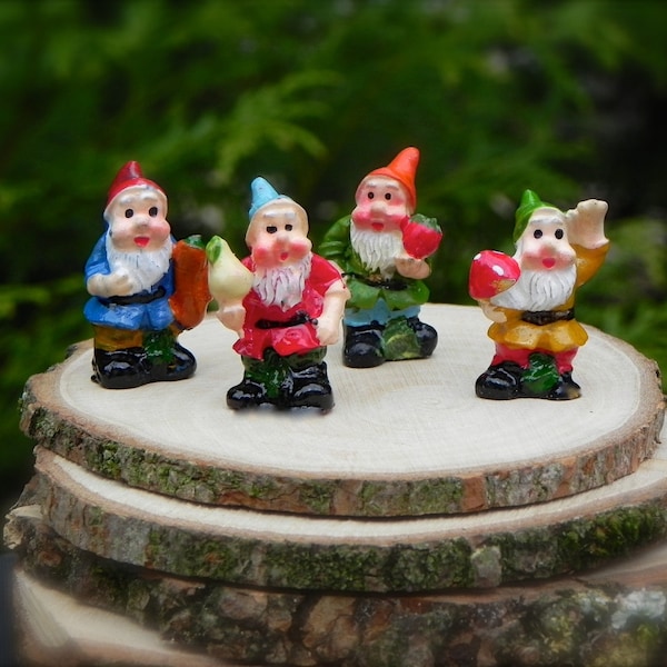 ONE Miniature Gnome 1" Tall - Miniature Fairy Garden Accessories - Terrarium Mini Craft Supplies - Micro Mini Gnome - Fairy Garden Accessory