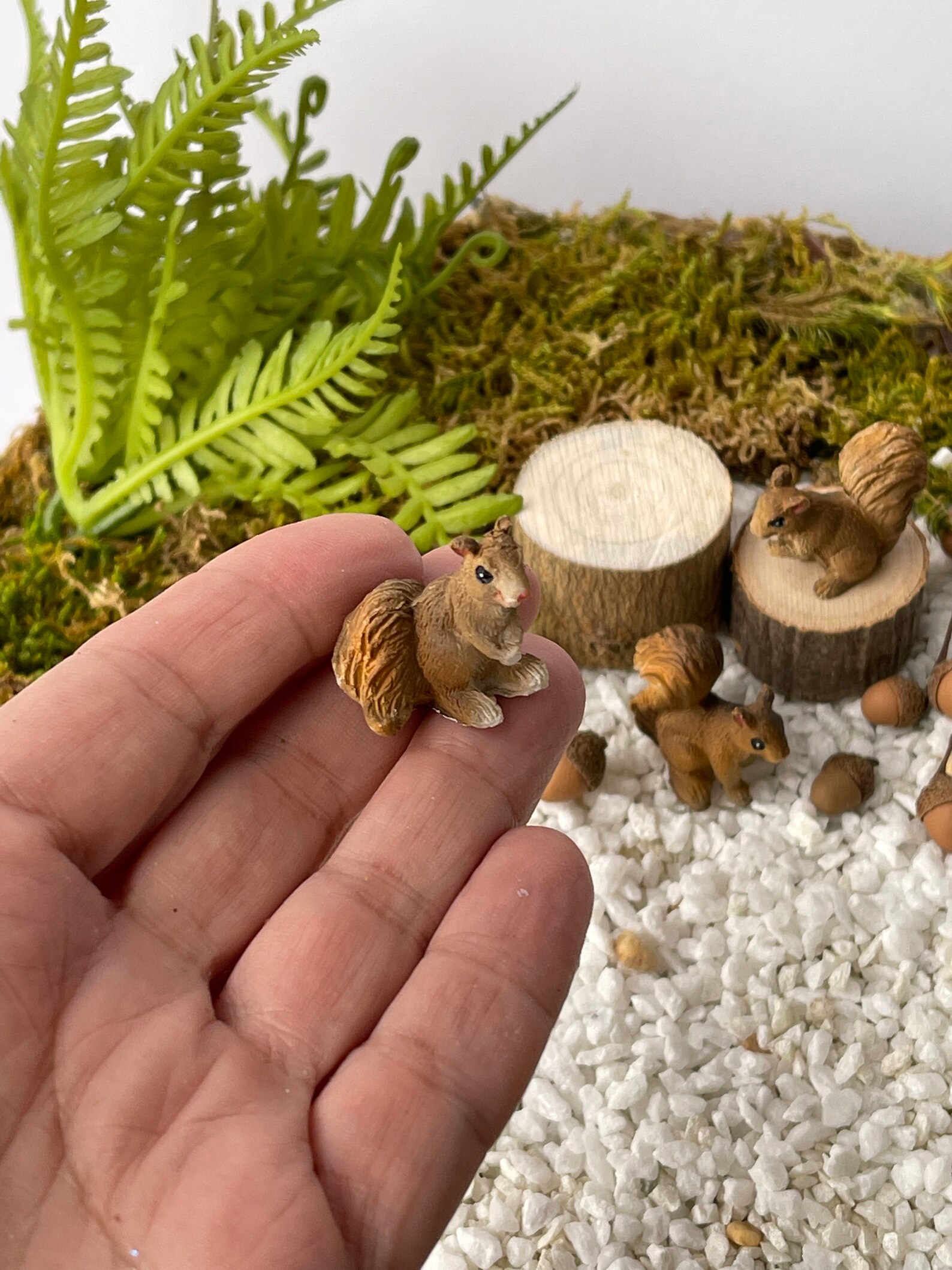 Miniature Squirrels Mini Squirrels Fairy Garden Accessories Etsy