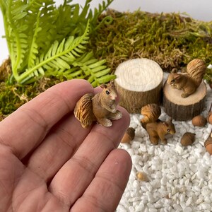 8Pcs Miniature Squirrel Figurines,Tiny Animal Figures Decorate For