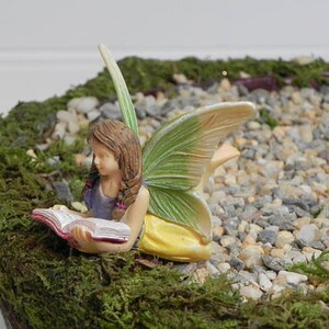 May include: A miniature fairy figurine with brown hair and green and yellow wings, reading a book. The fairy is seated on a bed of moss and small stones, creating a whimsical garden scene. The fairy is wearing a blue top and yellow skirt.
