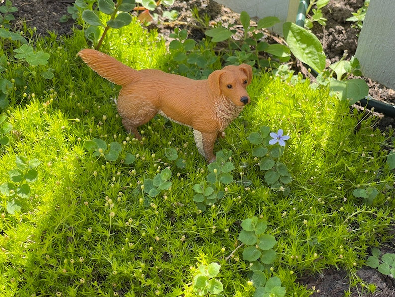 Large Miniature Golden Retriever Figurine Dog Figurine Etsy