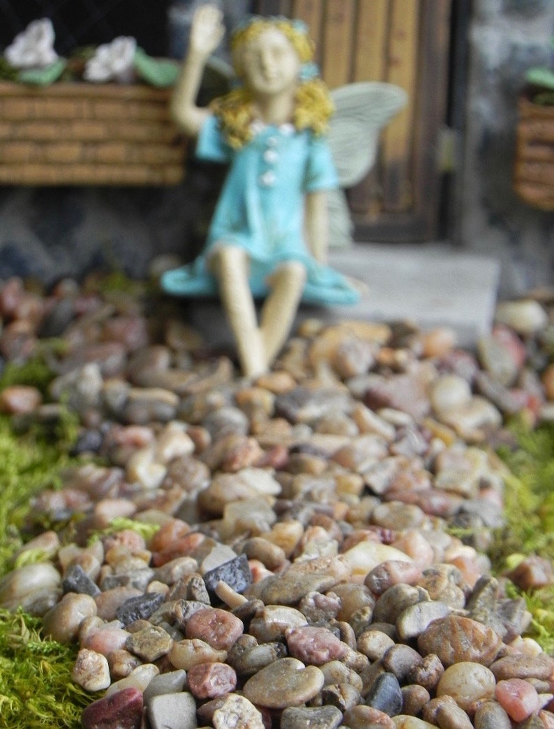 Fairy Garden pebbles stones pathway rocks terrarium supply Etsy