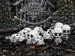 Miniature Skulls Fairy Garden accessories terrarium Halloween supplies craft supply miniature skeleton skull bead dollhouse outdoor 