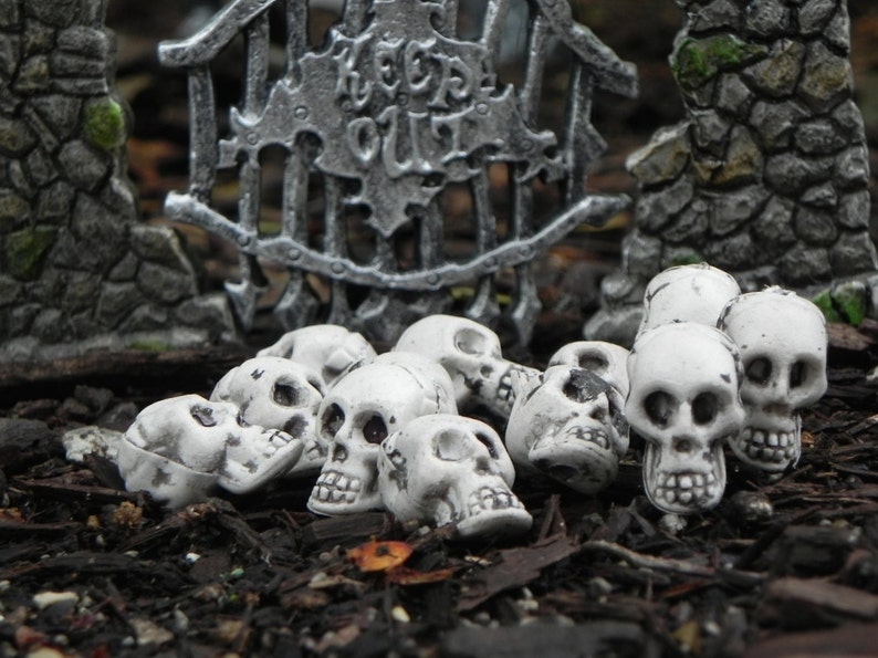 Miniature Skulls Fairy Garden accessories terrarium Halloween supplies craft supply miniature skeleton skull bead dollhouse outdoor image 2