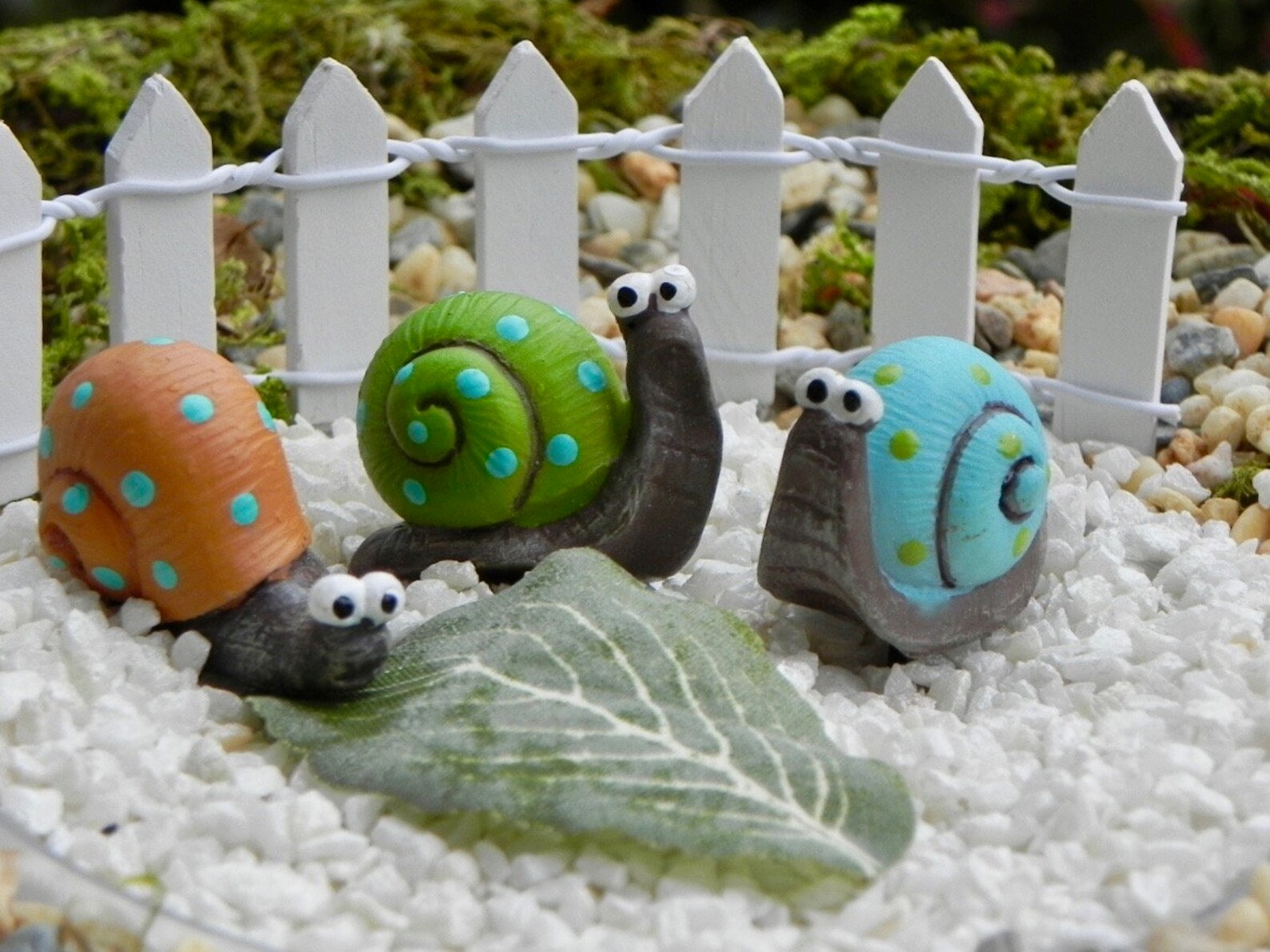 Fairy Garden Snail Accessory for Terrarium Miniature Snail Etsy