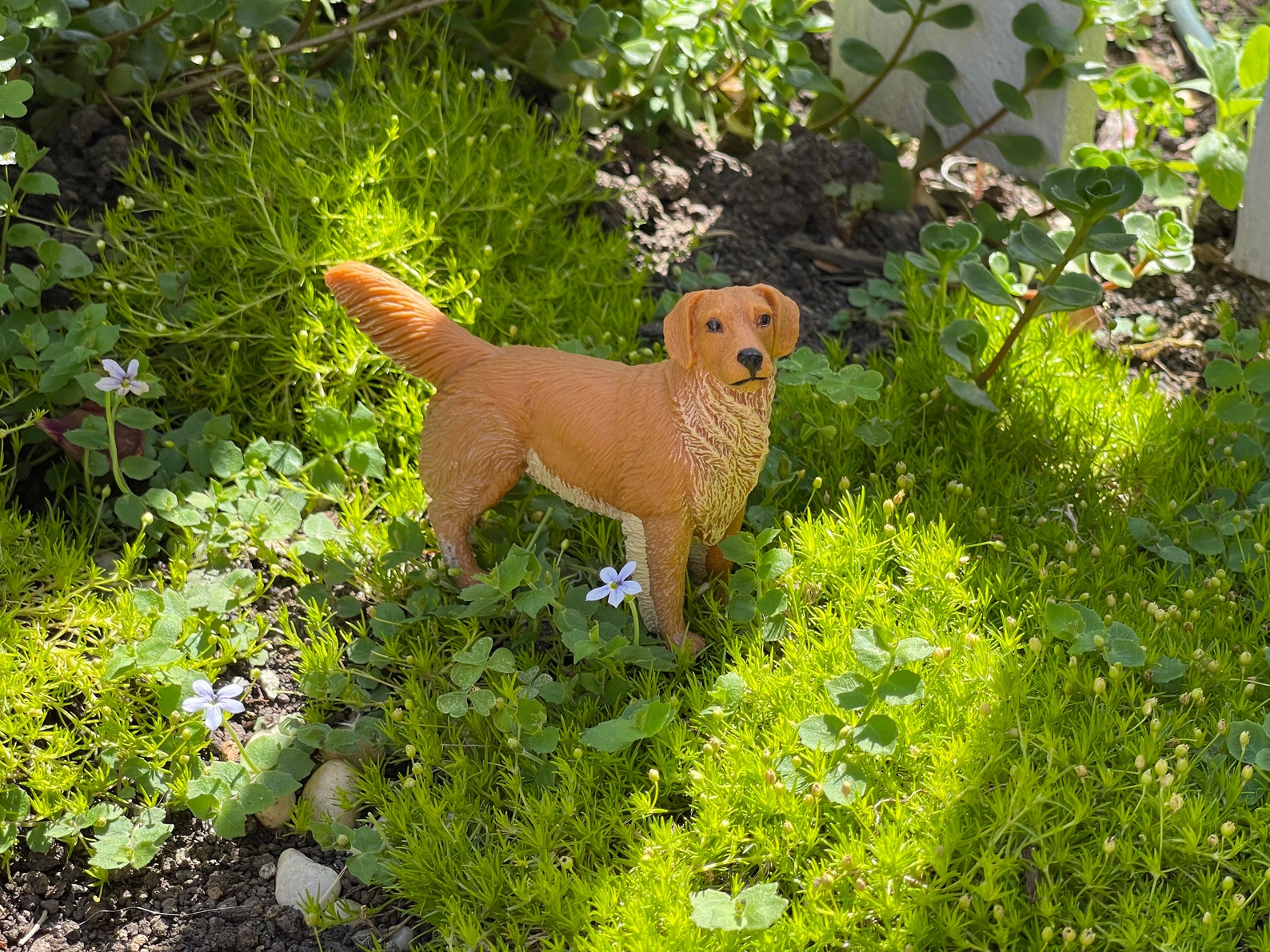 Large Miniature Golden Retriever Figurine Dog Figurine Etsy