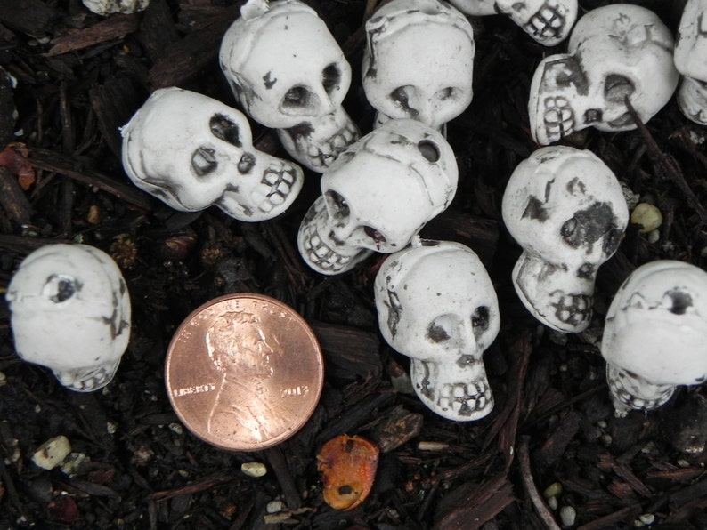 Miniature Skulls Fairy Garden accessories terrarium Halloween supplies craft supply miniature skeleton skull bead dollhouse outdoor image 1