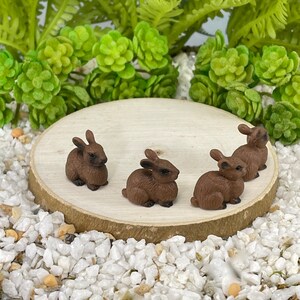 May include: Four small, brown rabbit figurines are arranged on a round, light-colored wooden slice, set against a backdrop of white pebbles and green foliage. The rabbits are in various poses, adding a touch of woodland charm.