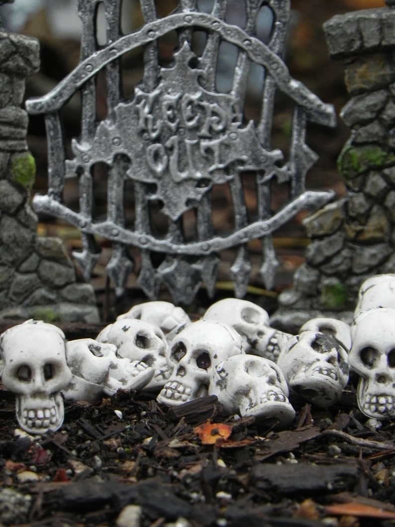 Miniature Skulls Fairy Garden accessories terrarium Halloween supplies craft supply miniature skeleton skull bead dollhouse outdoor image 3