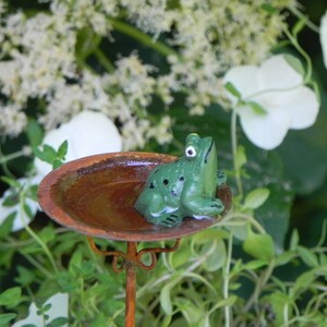 May include: A small, green frog figurine with black spots sits in a rusty brown bird bath. The bird bath is supported by a thin, orange metal stand. White flowers and green foliage are in the background.
