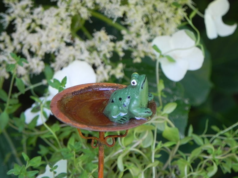 May include: A small, green frog figurine with black spots sits in a rusty brown bird bath. The bird bath is supported by a thin, orange metal stand. White flowers and green foliage are in the background.