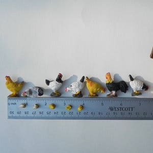 Miniature Chickens, micro mini chicks, rooster, hens, fairy garden farm miniatures, accessories for mini garden, SOLD SEPARATELY image 6