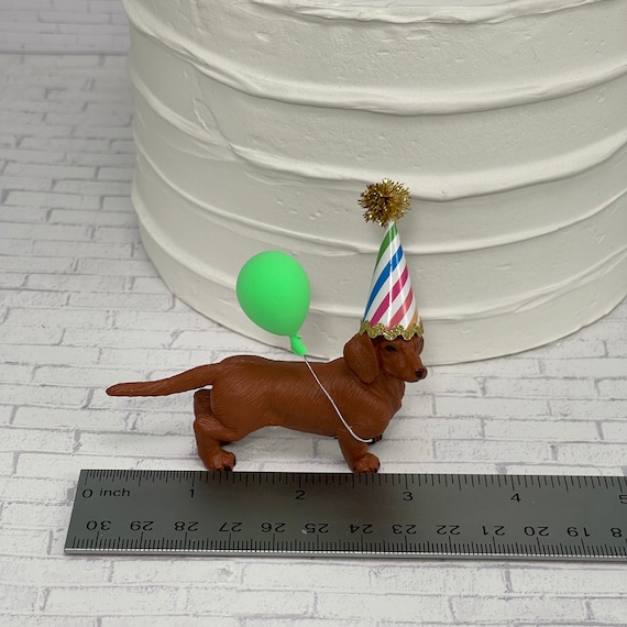 Dachshund birthday party 2025