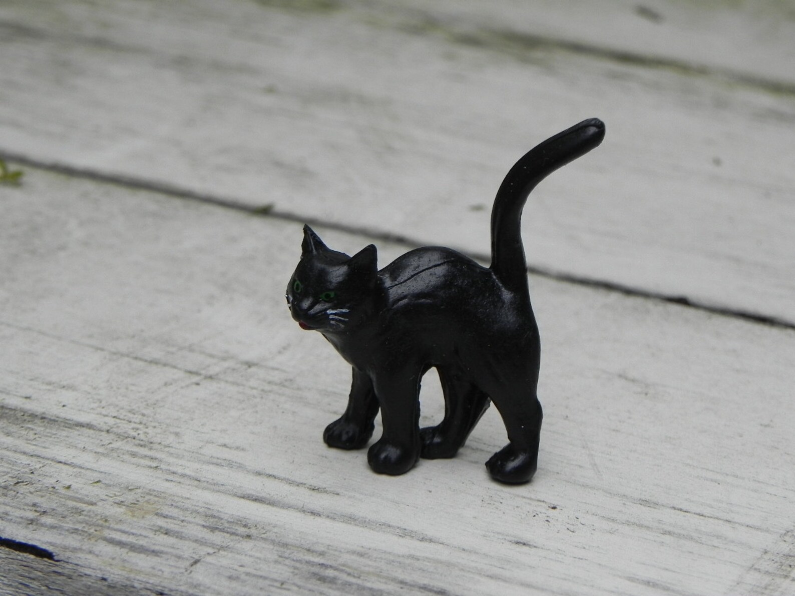 Miniature Black Cat Halloween Miniature Fairy Garden Etsy