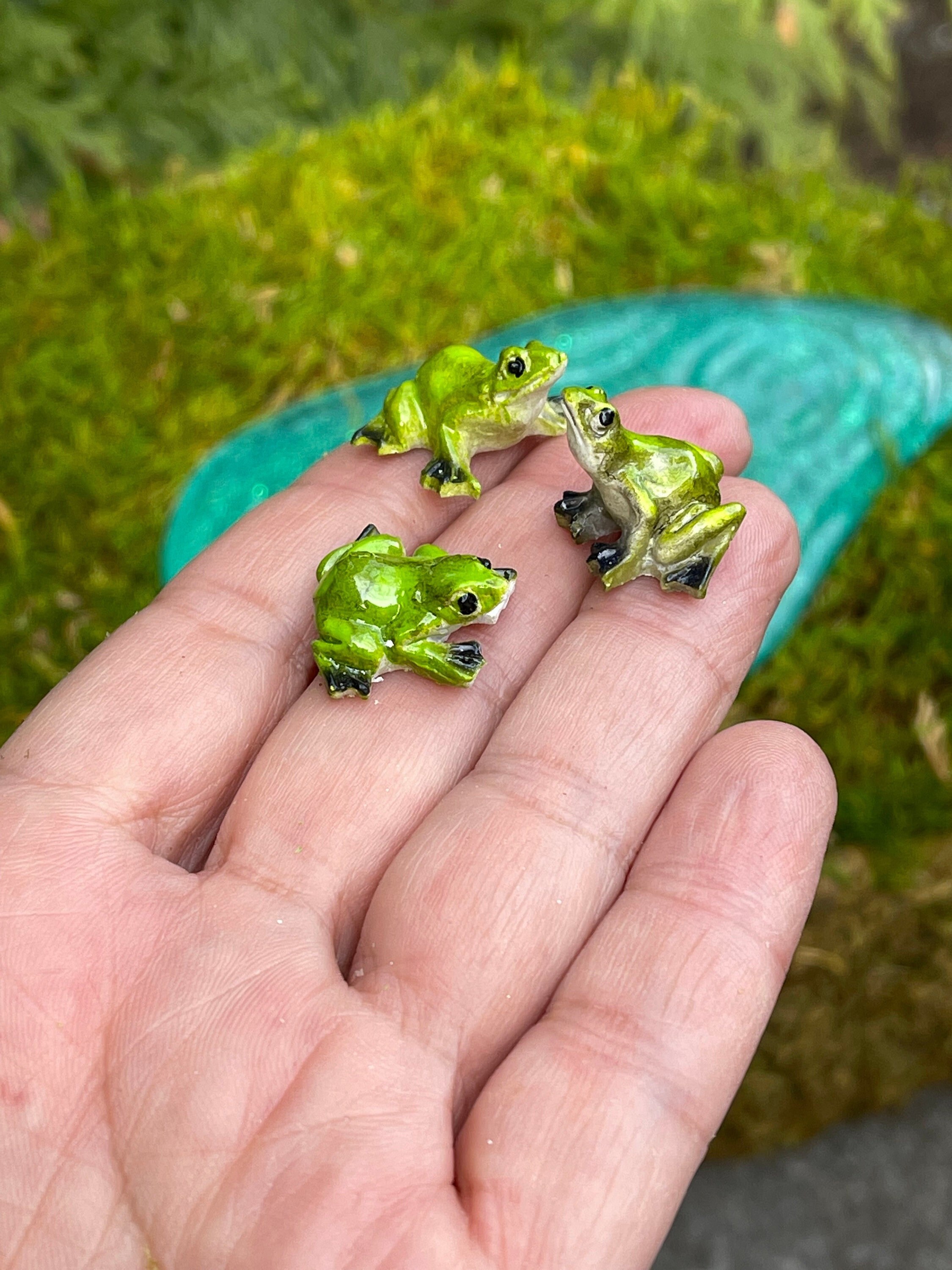 2 Pcs Miniature Garden Frog Figurines Resin Mini Frogs Cute Frog Fairy  Garden Miniature Moss Landscape DIY Terrarium Crafts Ornament Accessories  for Home Décor