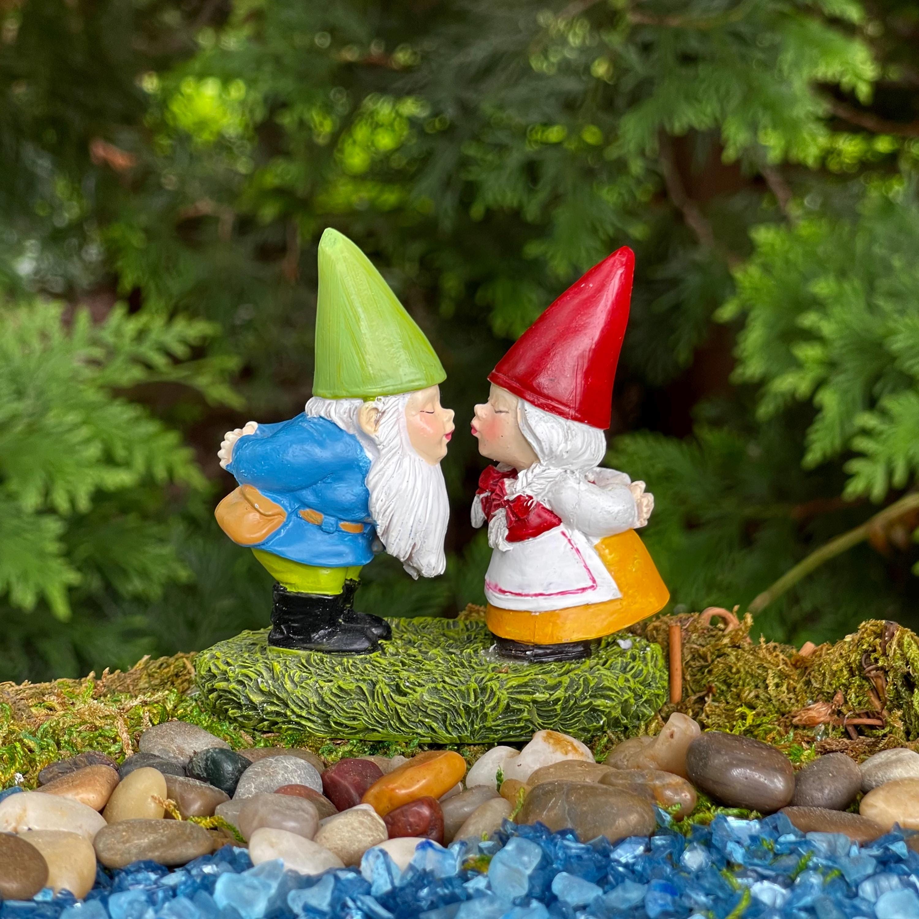 Miniature Gnome Fairy Garden Accessory, Mr and Mrs Gnome Couple