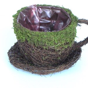 May include: A decorative teacup planter made of woven twigs, covered with green moss around the rim. The teacup sits on a matching saucer. The interior of the cup has a dark purple plastic liner.