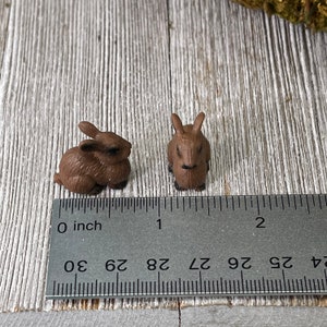 May include: Two small brown rabbit figurines. One is posed lying down, the other is upright. A ruler is placed next to the figurines, showing measurements in inches. The rabbits are made of a solid material and have detailed features.