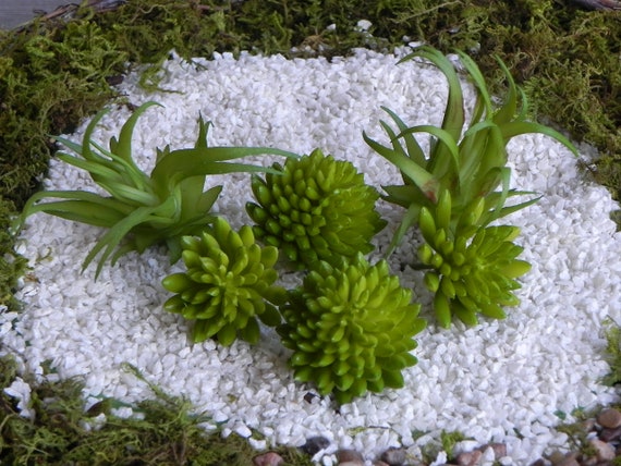 Fairy Garden Plants Artificial Succulents Small Plants For Etsy