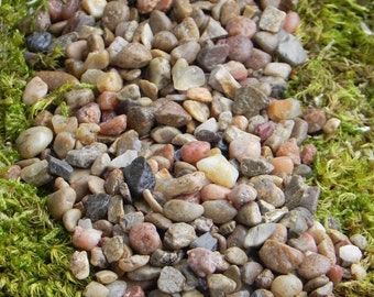 Fairy Garden pebbles stones, pathway rocks, terrarium supply, 8 ounces in weight (approximately 1/2 Cup measure), gravel floral accessories