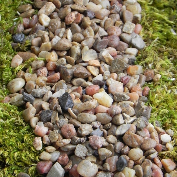Fairy Garden pebbles stones, pathway rocks, terrarium supply, 8 ounces in weight (approximately 1/2 Cup measure), gravel floral accessories
