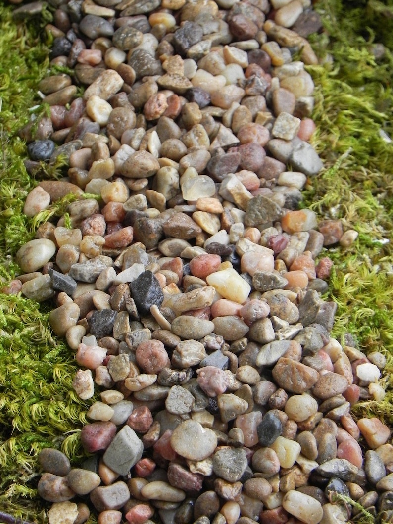 Fairy Garden Pebbles Stones Pathway Rocks Terrarium Supply Etsy