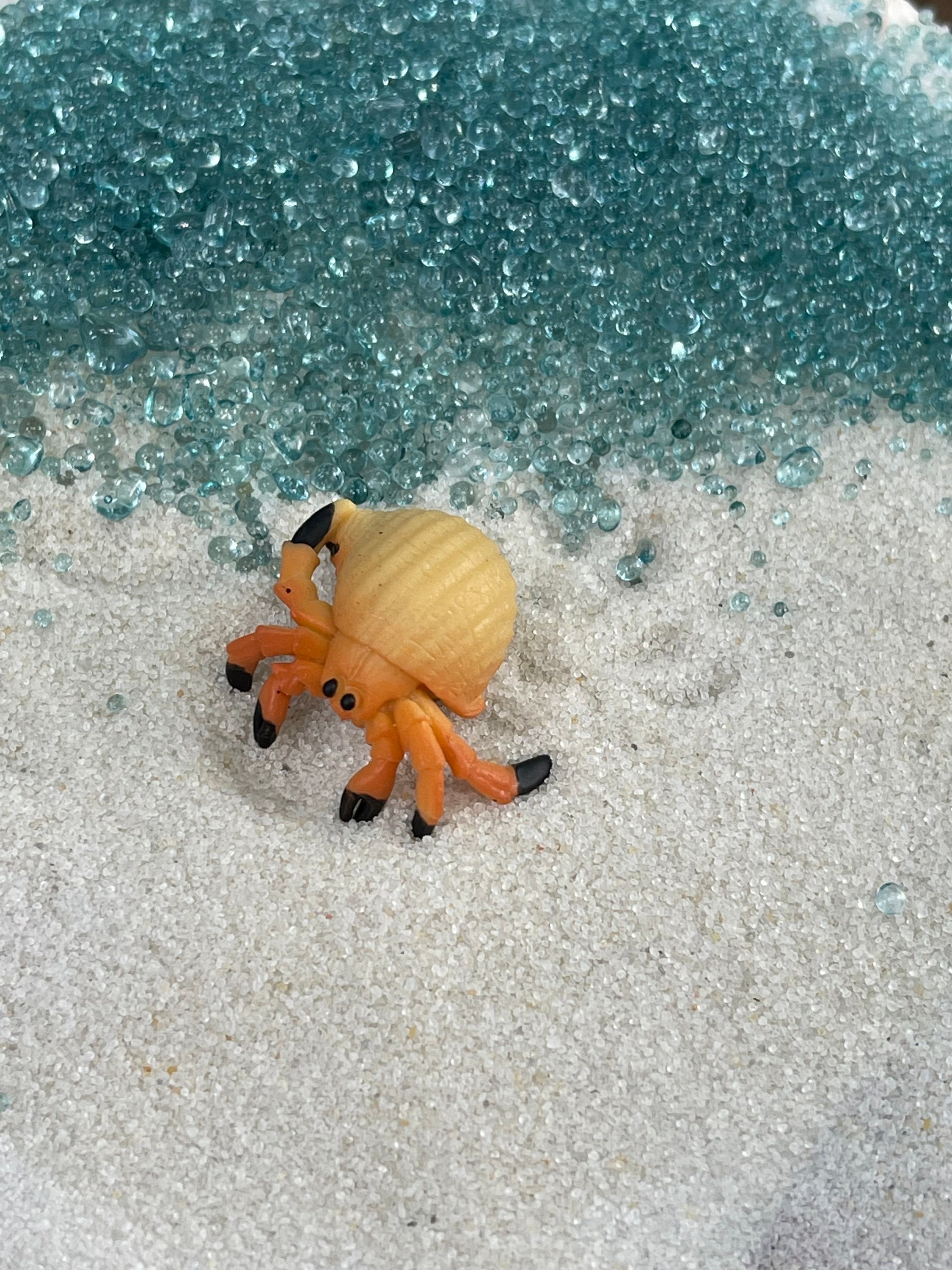Home & Hobby Terrarium Miniatures Hermit Crab Toys Terarium Kit for Zen